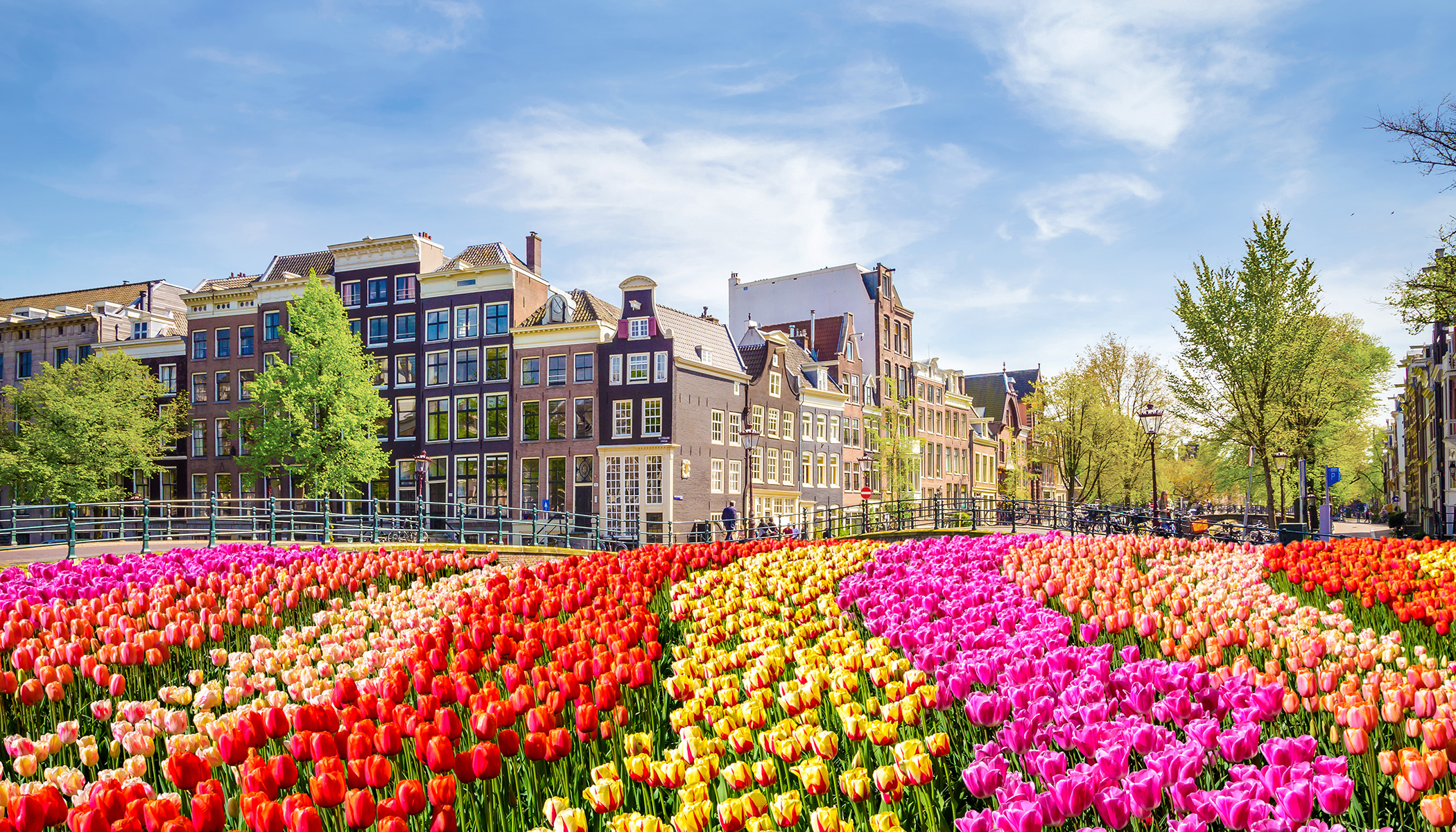 Viking Rhine Getaway – 8-Day European River Cruise