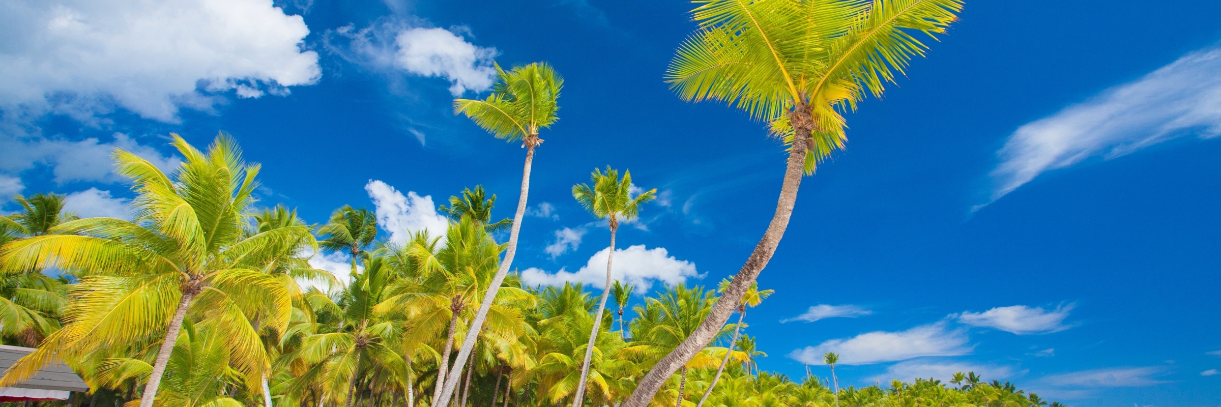 Dreams Macao Beach Punta Cana – Dominican Republic