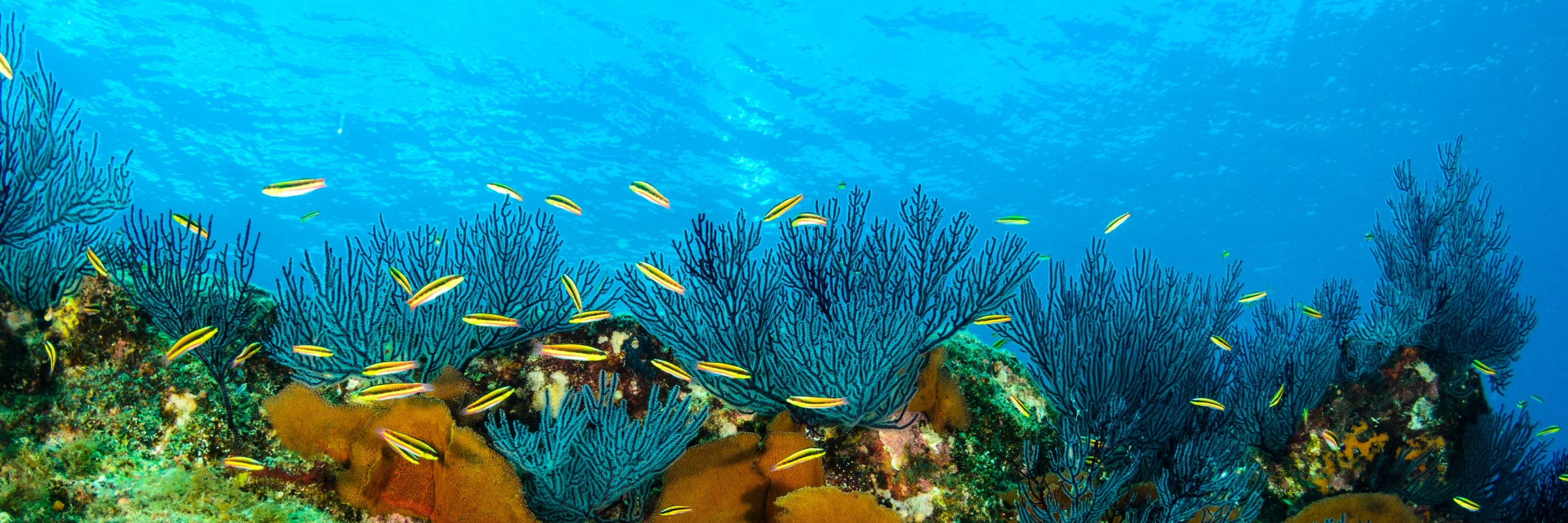 Liberia, Guanacaste, Costa Rica