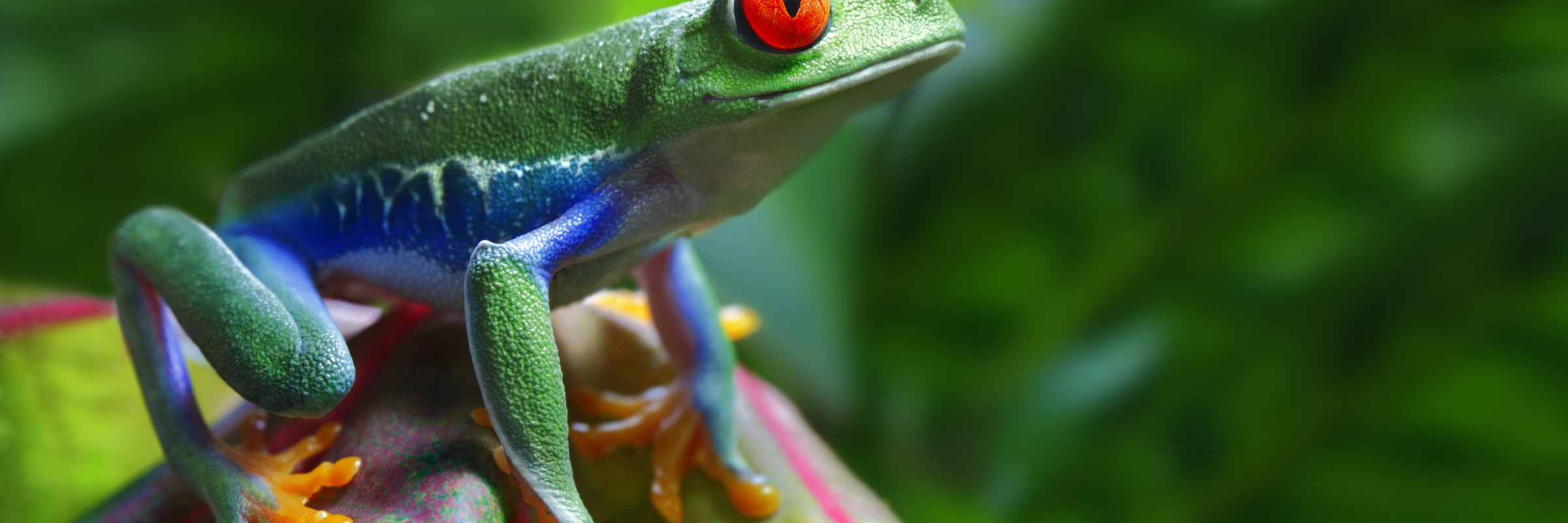 Liberia, Guanacaste, Costa Rica