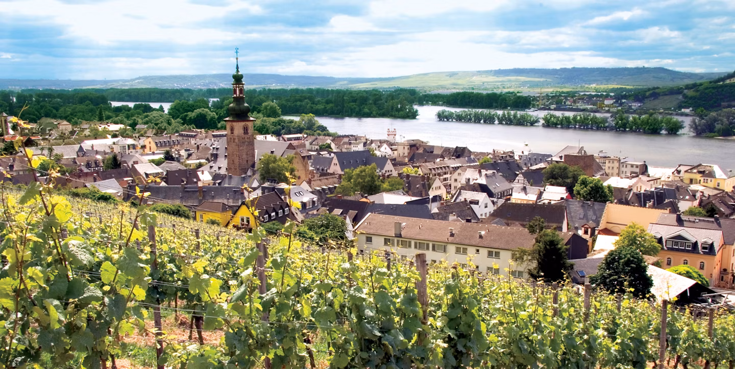 Viking - Rhine Getaway
